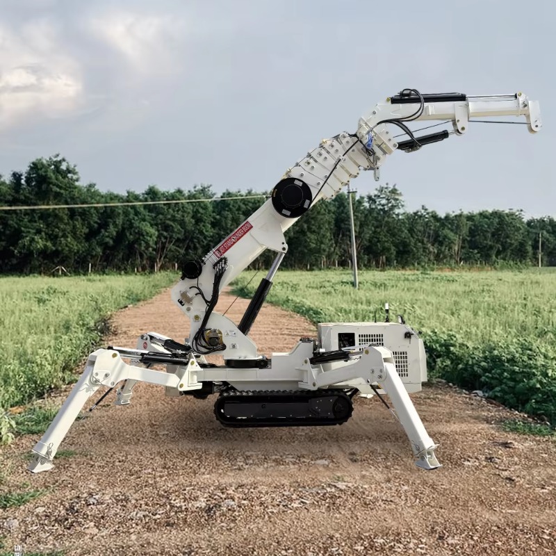 Compact Mini Spider Crane 1.5T - مراجعة Compact Crawler Boom Lift وسعره
