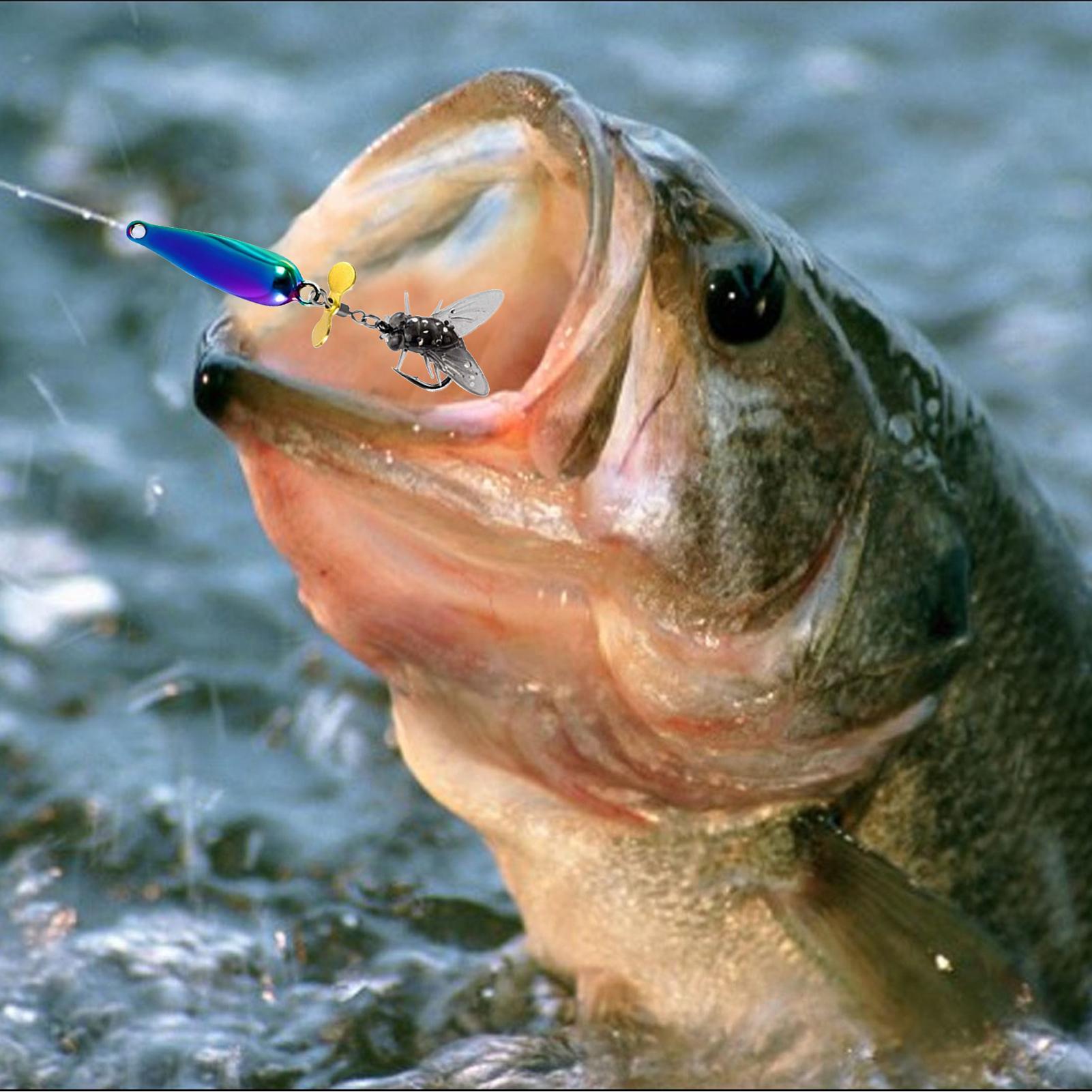 Fishing Spinner Baits Saltwate - مراجعة Heavy Equipment Management وسعره